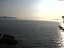 ./images/koeye/fitz-hugh/20180726/fitz-hugh20180726_192502.jpg