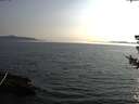 ./images/koeye/fitz-hugh/20180726/fitz-hugh20180726_195001.jpg