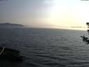 ./images/koeye/fitz-hugh/20180726/fitz-hugh20180726_200501.jpg