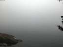 ./images/koeye/fitz-hugh/20180727/fitz-hugh20180727_052501.jpg
