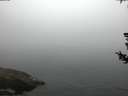 ./images/koeye/fitz-hugh/20180727/fitz-hugh20180727_053501.jpg