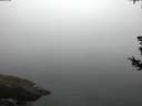 ./images/koeye/fitz-hugh/20180727/fitz-hugh20180727_054001.jpg