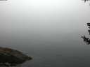 ./images/koeye/fitz-hugh/20180727/fitz-hugh20180727_054502.jpg