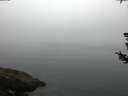 ./images/koeye/fitz-hugh/20180727/fitz-hugh20180727_055502.jpg