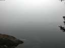 ./images/koeye/fitz-hugh/20180727/fitz-hugh20180727_060002.jpg