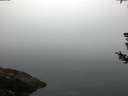 ./images/koeye/fitz-hugh/20180727/fitz-hugh20180727_060502.jpg