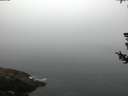 ./images/koeye/fitz-hugh/20180727/fitz-hugh20180727_061002.jpg