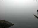 ./images/koeye/fitz-hugh/20180727/fitz-hugh20180727_061502.jpg