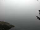 ./images/koeye/fitz-hugh/20180727/fitz-hugh20180727_062002.jpg