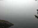 ./images/koeye/fitz-hugh/20180727/fitz-hugh20180727_062502.jpg