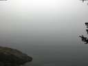 ./images/koeye/fitz-hugh/20180727/fitz-hugh20180727_074001.jpg