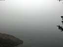 ./images/koeye/fitz-hugh/20180727/fitz-hugh20180727_081002.jpg