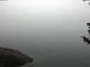 ./images/koeye/fitz-hugh/20180727/fitz-hugh20180727_083501.jpg