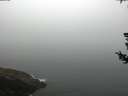 ./images/koeye/fitz-hugh/20180727/fitz-hugh20180727_085002.jpg
