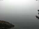 ./images/koeye/fitz-hugh/20180727/fitz-hugh20180727_085501.jpg