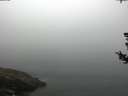 ./images/koeye/fitz-hugh/20180727/fitz-hugh20180727_093502.jpg