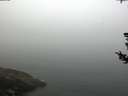 ./images/koeye/fitz-hugh/20180727/fitz-hugh20180727_094002.jpg
