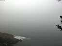 ./images/koeye/fitz-hugh/20180727/fitz-hugh20180727_095002.jpg