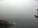 ./images/koeye/fitz-hugh/20180727/fitz-hugh20180727_095502.jpg