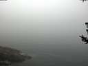 ./images/koeye/fitz-hugh/20180727/fitz-hugh20180727_101001.jpg