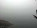 ./images/koeye/fitz-hugh/20180727/fitz-hugh20180727_101501.jpg