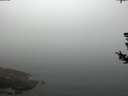 ./images/koeye/fitz-hugh/20180727/fitz-hugh20180727_102501.jpg