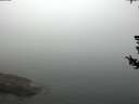 ./images/koeye/fitz-hugh/20180727/fitz-hugh20180727_104501.jpg