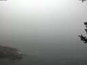 ./images/koeye/fitz-hugh/20180727/fitz-hugh20180727_105001.jpg