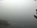 ./images/koeye/fitz-hugh/20180727/fitz-hugh20180727_105501.jpg