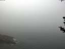 ./images/koeye/fitz-hugh/20180727/fitz-hugh20180727_111001.jpg