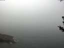 ./images/koeye/fitz-hugh/20180727/fitz-hugh20180727_111501.jpg