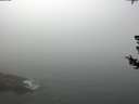 ./images/koeye/fitz-hugh/20180727/fitz-hugh20180727_112501.jpg