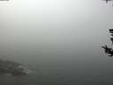 ./images/koeye/fitz-hugh/20180727/fitz-hugh20180727_114001.jpg