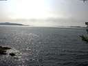 ./images/koeye/fitz-hugh/20180727/fitz-hugh20180727_160002.jpg