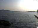./images/koeye/fitz-hugh/20180727/fitz-hugh20180727_194501.jpg