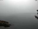 ./images/koeye/fitz-hugh/20180728/fitz-hugh20180728_054002.jpg