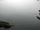 ./images/koeye/fitz-hugh/20180728/fitz-hugh20180728_054502.jpg