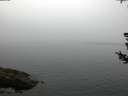./images/koeye/fitz-hugh/20180728/fitz-hugh20180728_055001.jpg