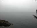 ./images/koeye/fitz-hugh/20180728/fitz-hugh20180728_055502.jpg