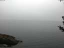 ./images/koeye/fitz-hugh/20180728/fitz-hugh20180728_060002.jpg