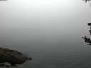 ./images/koeye/fitz-hugh/20180728/fitz-hugh20180728_060502.jpg