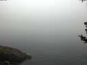 ./images/koeye/fitz-hugh/20180728/fitz-hugh20180728_063502.jpg