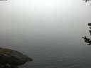 ./images/koeye/fitz-hugh/20180728/fitz-hugh20180728_064002.jpg