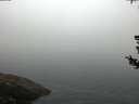 ./images/koeye/fitz-hugh/20180728/fitz-hugh20180728_064501.jpg
