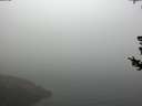./images/koeye/fitz-hugh/20180728/fitz-hugh20180728_071501.jpg