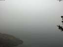 ./images/koeye/fitz-hugh/20180728/fitz-hugh20180728_085002.jpg