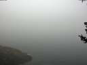 ./images/koeye/fitz-hugh/20180728/fitz-hugh20180728_090502.jpg