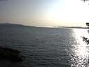 ./images/koeye/fitz-hugh/20180728/fitz-hugh20180728_185502.jpg