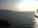 ./images/koeye/fitz-hugh/20180728/fitz-hugh20180728_192501.jpg