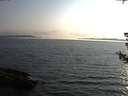 ./images/koeye/fitz-hugh/20180728/fitz-hugh20180728_195001.jpg